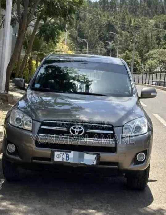 Toyota RAV4 2010 Brown