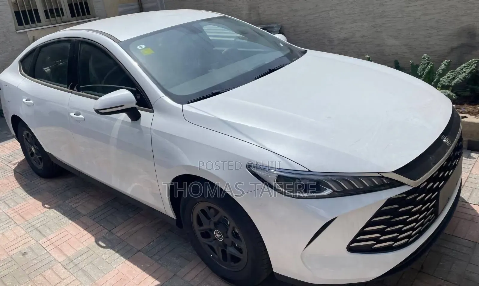 New BYD Qin Plus DM-i 2025 White
