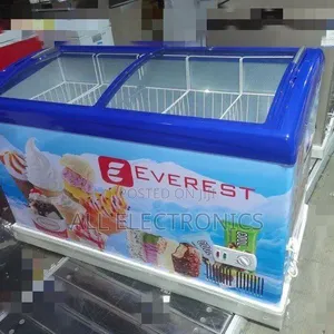 Everest Icecream Display Freezer