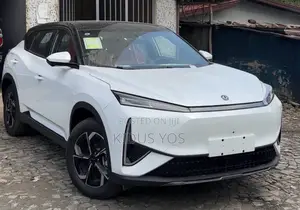 New Dongfeng EV EX1 2025 White