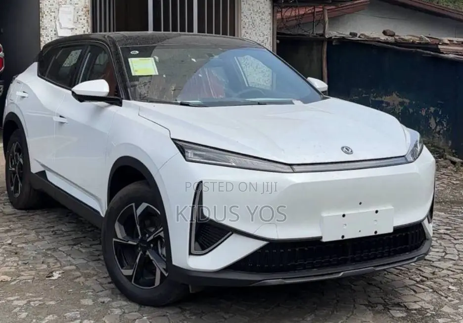 New Dongfeng EV EX1 2025 White