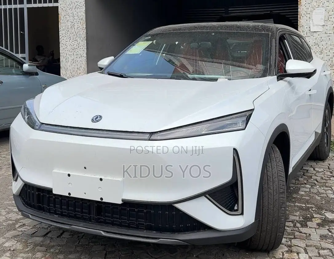 New Dongfeng EV EX1 2025 White