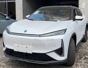 New Dongfeng EV EX1 2025 White