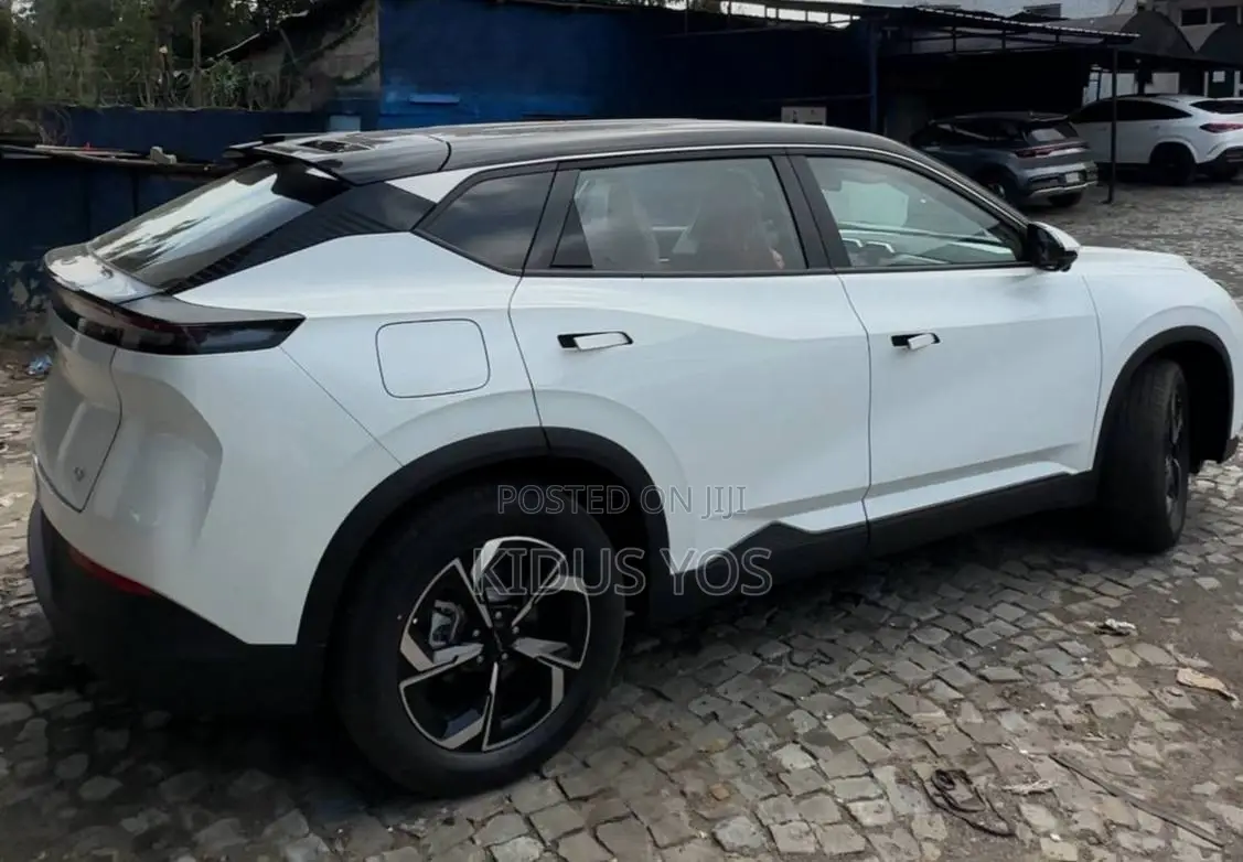 New Dongfeng EV EX1 2025 White