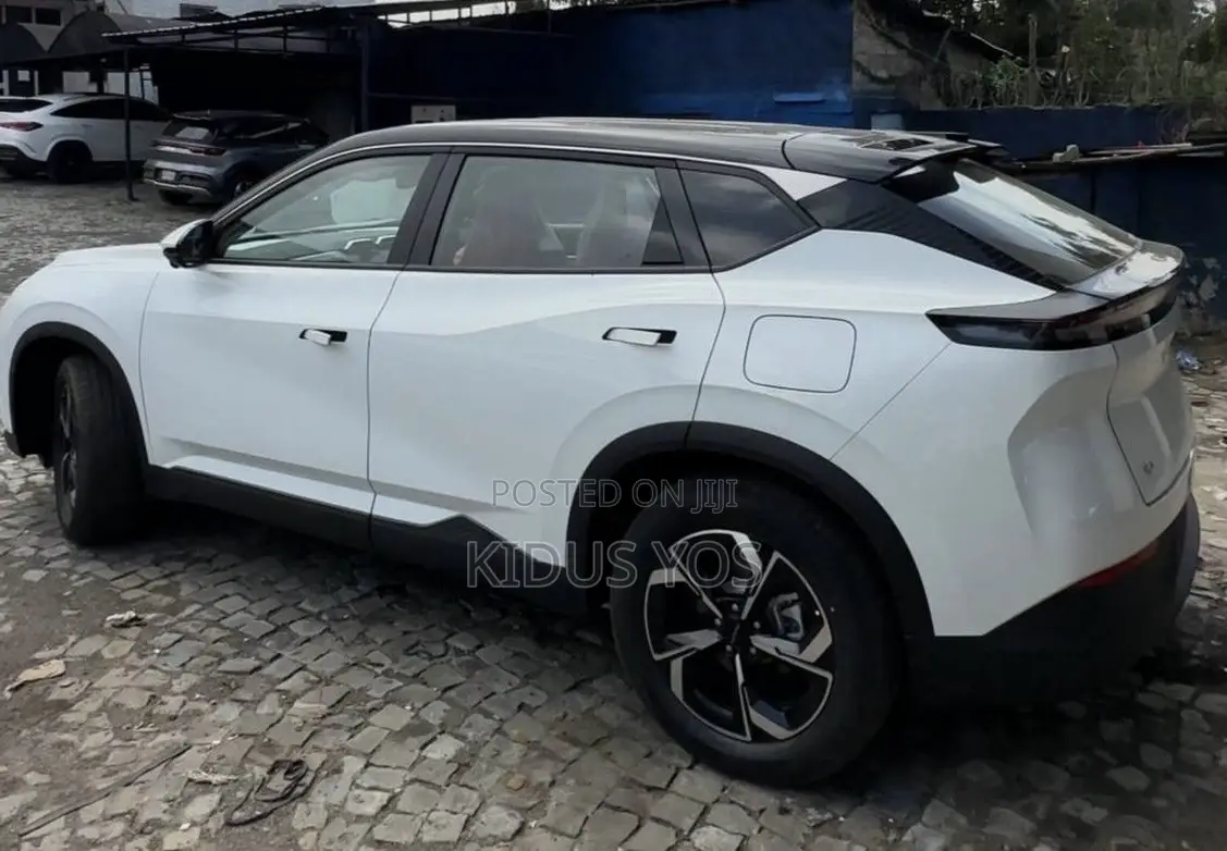 New Dongfeng EV EX1 2025 White