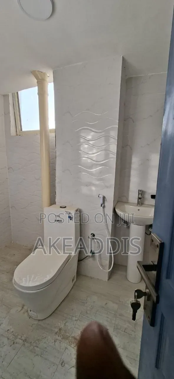 Furnished 1bdrm Condo in Bole Ayat for sale