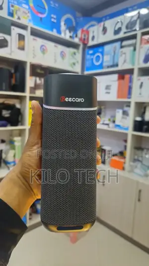 Beecaro Outdoor Indoor Wirless Speaker