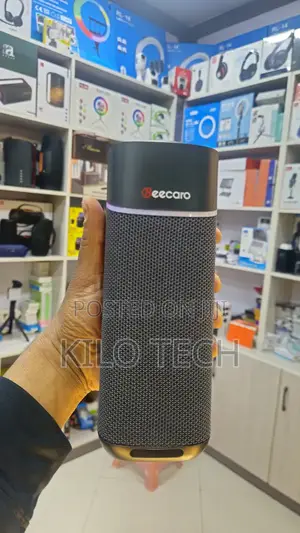 Beecaro Outdoor Indoor Wirless Speaker