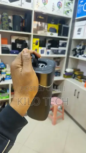 Beecaro Outdoor Indoor Wirless Speaker