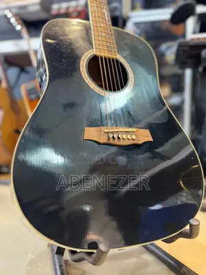 Acostic Guitar