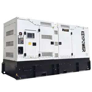 20kw Diesel Generator | Yuchai 25kva Silent Generator