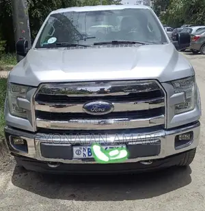 Ford F-150 2016 Silver