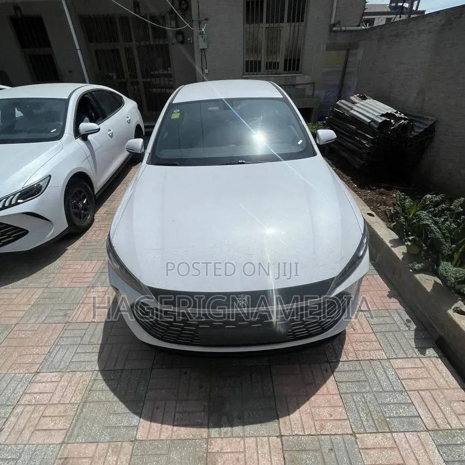 New BYD Qin Plus DM-i 2025 White