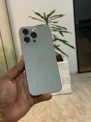 Apple iPhone 15 Pro Max 256 GB Gray
