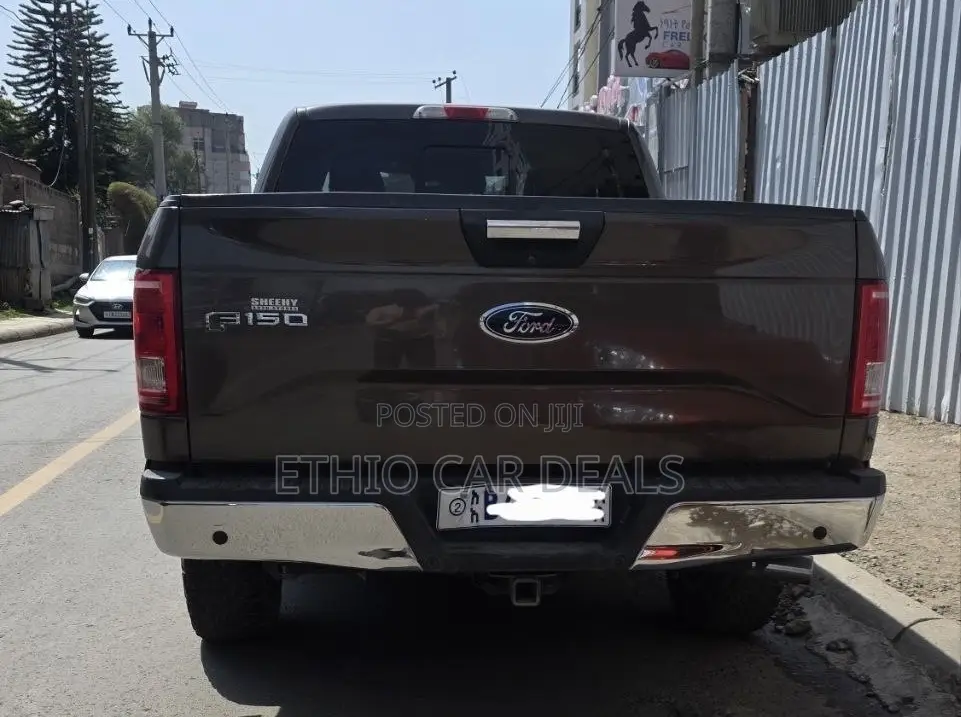 Ford F-150 2015 Brown