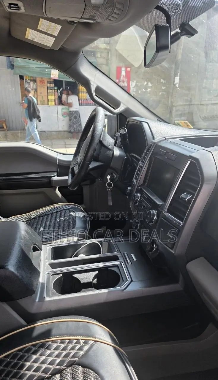 Ford F-150 2015 Brown