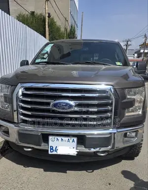 Ford F-150 2015 Brown