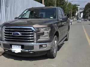 Ford F-150 2015 Brown