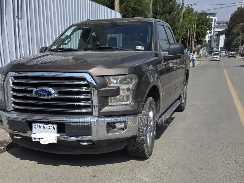 Ford F-150 2015 Brown