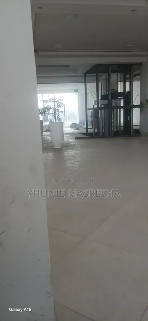 Real Estate