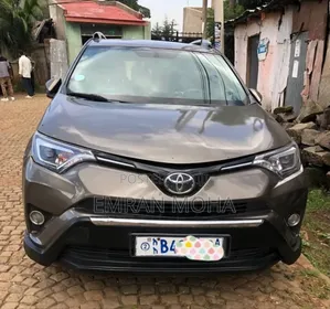 Toyota RAV4 2015 Brown