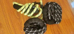 Dogs Leash