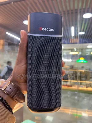 Beecaro Portable Bluetooth Speaker