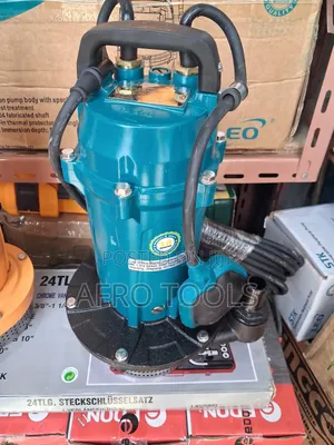 Leo Original 1hp QDX Pump