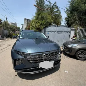 Hyundai Tucson 2021 Blue