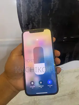 Apple iPhone 11 Pro Max 64 GB Gray