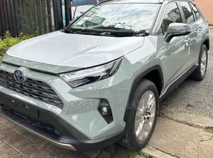 Toyota RAV4 2024