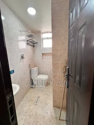 Furnished 3bdrm Condo in Bole Ayat for sale