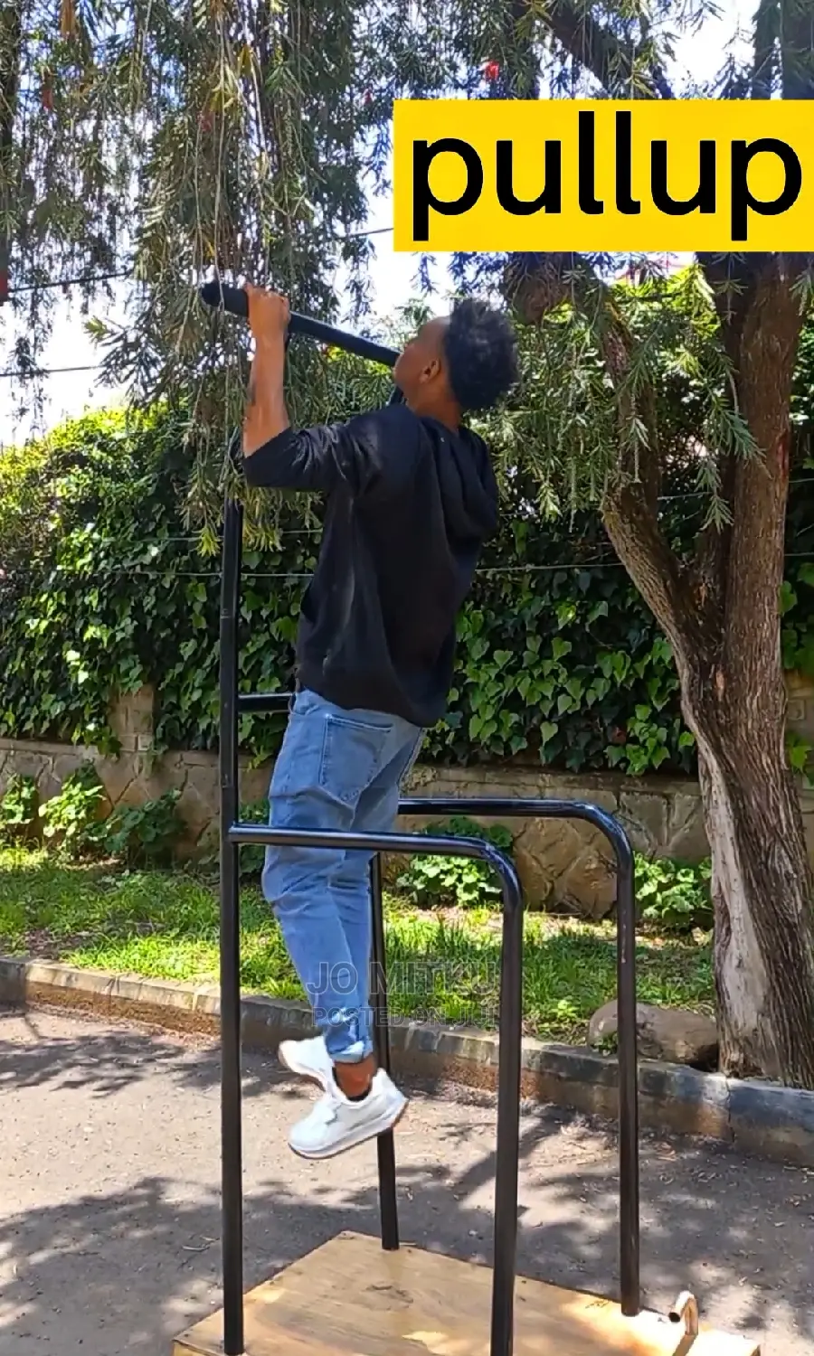 ተነቃቃይ Pull Up,Dig Up and Push Up Bars