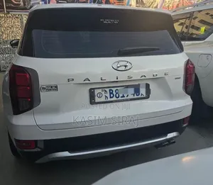 Hyundai Palisade 2021 White