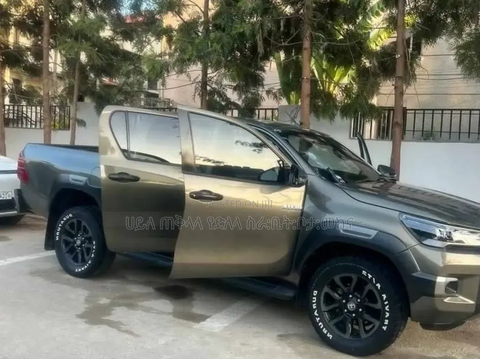 Toyota Hilux 2021 Pink