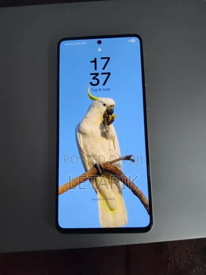 New Samsung Galaxy C55 256 GB Orange