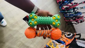 Dog Ball Toy