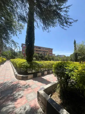 1bdrm Condo in Bulbula, Bole for sale