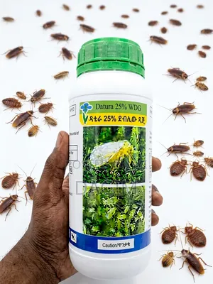 Datura Insecticide(ፀረ-ተባይ ማጥፊያ)