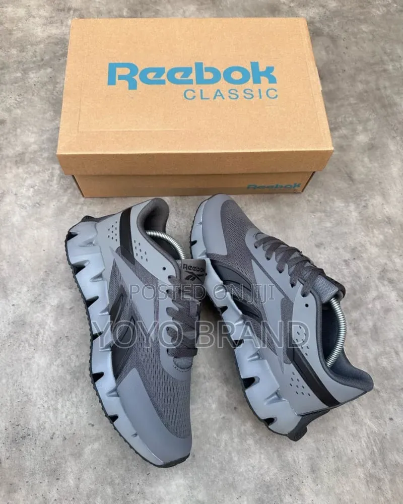 Reebok Zig Dynamica 2.0 Pure Grey and Black