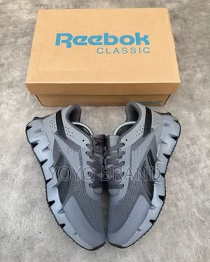 Reebok Zig Dynamica 2.0 Pure Grey and Black