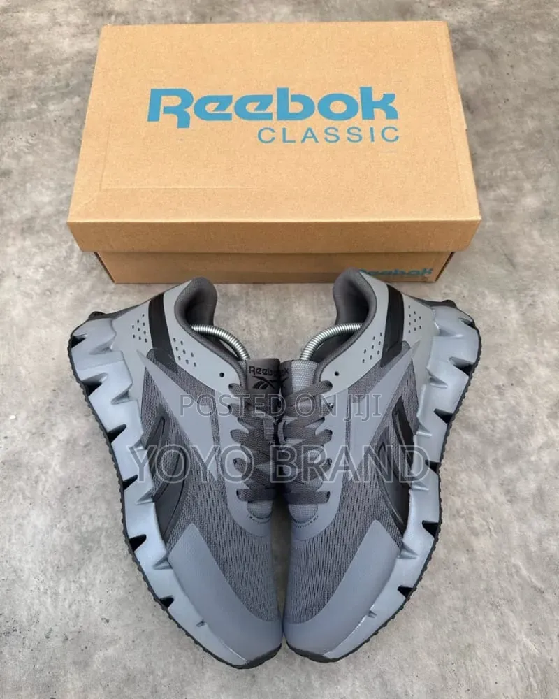 Reebok Zig Dynamica 2.0 Pure Grey and Black