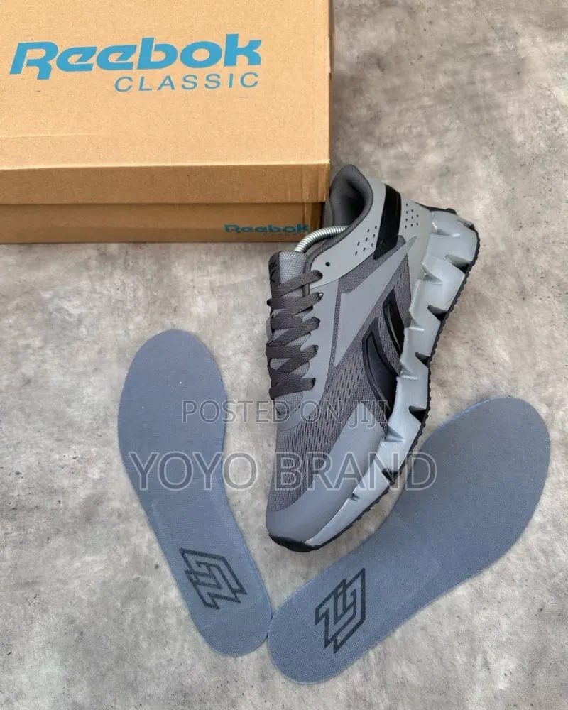 Reebok Zig Dynamica 2.0 Pure Grey and Black