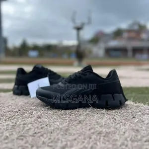 Reebok Zig Dynamica 2 "Triple Black"