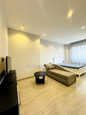Furnished Studio Apartment in Arada for rent