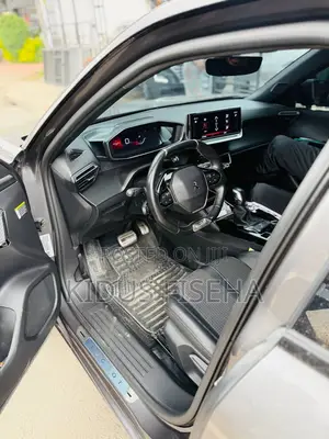 Peugeot 2008 2022 Gray
