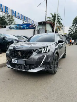 Peugeot 2008 2022 Gray