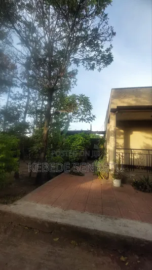 12bdrm House in Oromia, Bole for sale