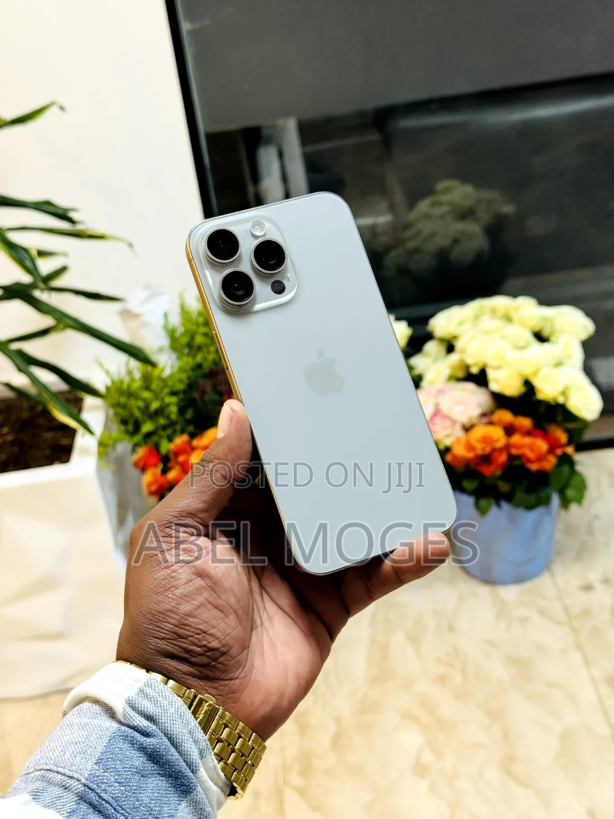 Apple iPhone 15 Pro Max 256 GB Gray