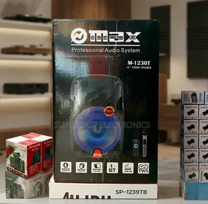 Max 12 Inch Speaker With Wireless Microphone
